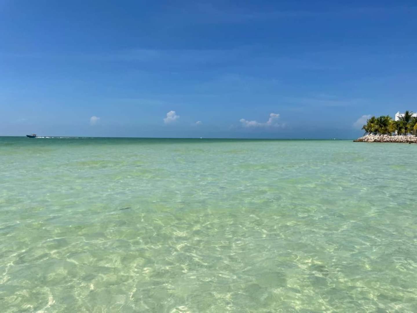 Pool View Loft Steps From The Ocean In Punta Cocos - C101 Ilha Holbox Exterior foto