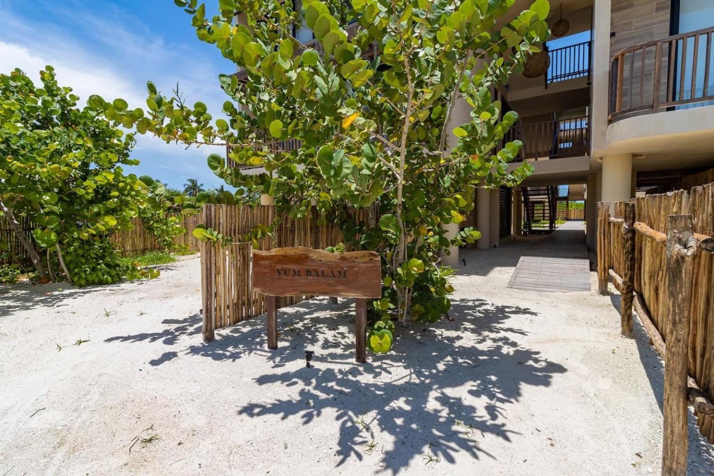 Pool View Loft Steps From The Ocean In Punta Cocos - C101 Ilha Holbox Exterior foto