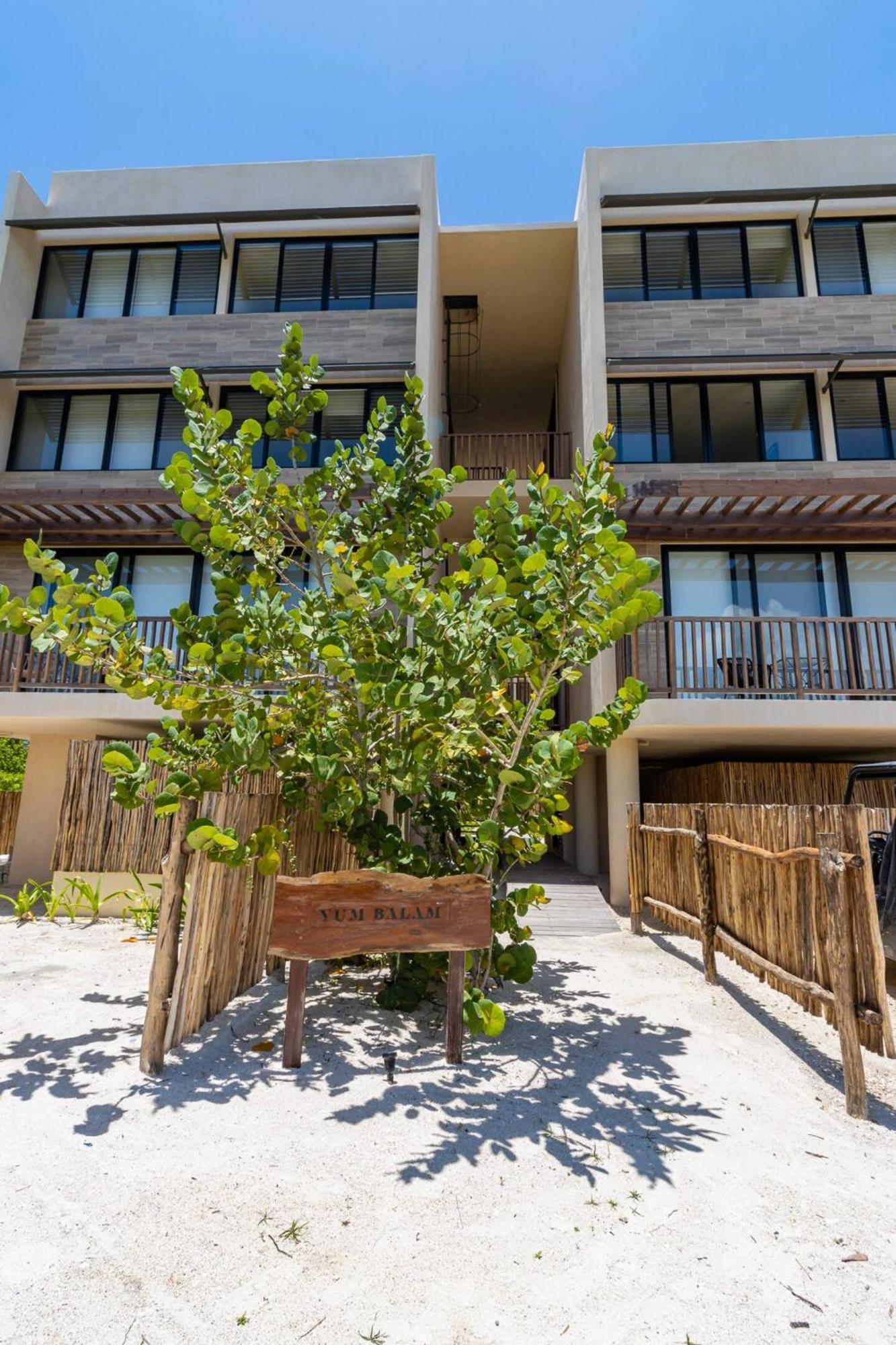 Pool View Loft Steps From The Ocean In Punta Cocos - C101 Ilha Holbox Exterior foto